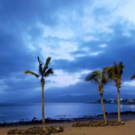 Ave Paraíso