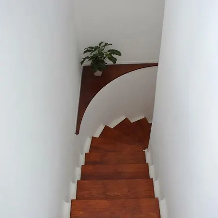 Ave Paraiso - Cozy And Sunny House Apartment *