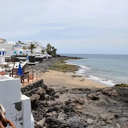 Ave Paraíso *